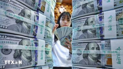 Americký dolar vzrostl na 13měsíční maximum v očekávání zvýšení úrokových sazeb Fedem.