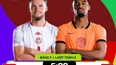 Link zum Livestream des Spiels Tunesien gegen Niederlande (Gruppe F, Weltmeisterschaft 2026)