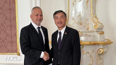 Vietnam och Tjeckien stärker det lagstiftningsmässiga samarbetet.
