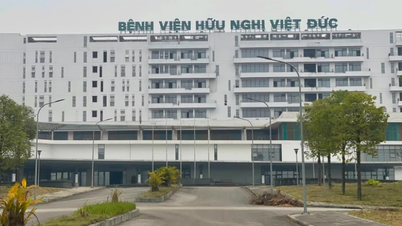A special mechanism has been implemented to bring Bach Mai Hospital and Viet Duc Hospital's Ninh Binh facility into operation.
