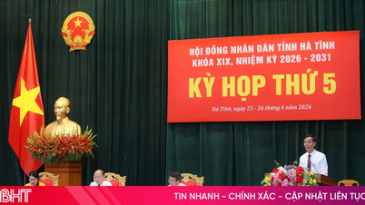 Questa mattina, il Consiglio popolare della provincia di Ha Tinh ha proseguito la sua sessione di domande e risposte.