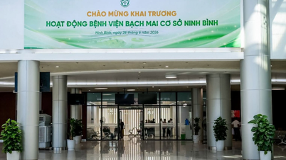 Heute, am 26. Juni, öffnet die Zweigstelle Ninh Binh des Bach-Mai-Krankenhauses offiziell ihre Pforten für medizinische Untersuchungen und Behandlungen. Welche Vorteile ergeben sich für die Bevölkerung?