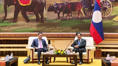 Styrkelse af samarbejdet mellem de vietnamesiske og laotiske statsrevisioner.