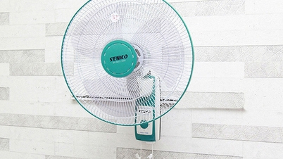 Tips för att hänga fläktar korrekt enligt feng shui för att attrahera rikedom och hälsa.