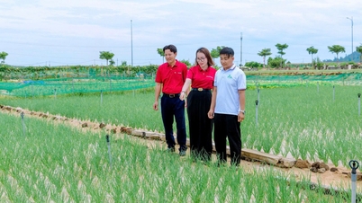 Mở rộng tín dụng xanh đáp ứng yêu cầu phát triển kinh tế xanh