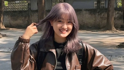 "세 계절, 하나의 손길": 젊은이들이 전통 공예를 현대 생활에 접목시키는 방법을 찾다