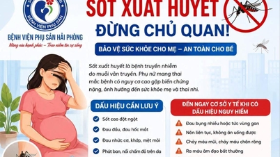 ความเสี่ยงของภาวะแทรกซ้อนจากไข้เลือดออกในหญิงตั้งครรภ์