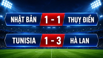 Kết quả bảng F World Cup 2026: Hà Lan, Nhật Bản giành vé vào vòng 1/16