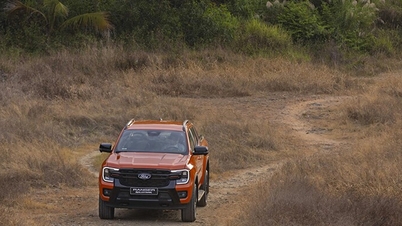 Ford Ranger 2026: Cập nhật giá lăn bánh mới nhất và đánh giá chi tiết vua bán tải tại Việt Nam