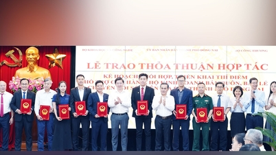 เศรษฐกิจดิจิทัล - เครื่องยนต์ขับเคลื่อนการเติบโตใหม่สำหรับเศรษฐกิจ: "การใช้ประโยชน์จากดิจิทัล" เพื่อการพัฒนาภาคเศรษฐกิจระดับรากหญ้า