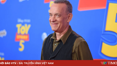 O futuro de Toy Story sem Tom Hanks