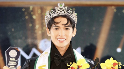 Vo Minh Thoai kroonde Mister Majestic 2026, een wedstrijd met slechts 7 deelnemers.