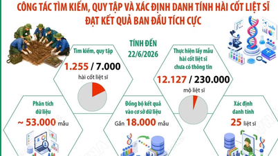 ការងារស្វែងរក ការប្រមូល និងការកំណត់អត្តសញ្ញាណសាកសពទាហានដែលបានស្លាប់។