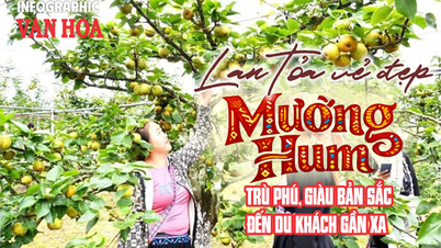 (Infographic) Lan tỏa vẻ đẹp Mường Hum trù phú, giàu bản sắc đến du khách gần xa