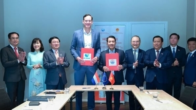 Skupina Hung Nhon podepsala v Evropě řadu strategických dohod.