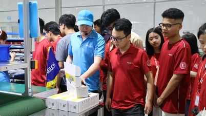Studenti dell'Università di Scienza e Tecnologia di Hanoi: il primo passo nel mondo del lavoro, un passo verso il futuro.