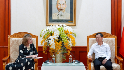 Het handhaven van intellectuele-eigendomsrechten is essentieel voor de ontwikkeling van Vietnam.