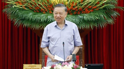Kết luận của Tổng bí thư, Chủ tịch nước Tô Lâm tại buổi làm việc về công tác chuẩn bị năm học 2026 - 2027 và thực hiện Nghị quyết số 71-NQ/TW