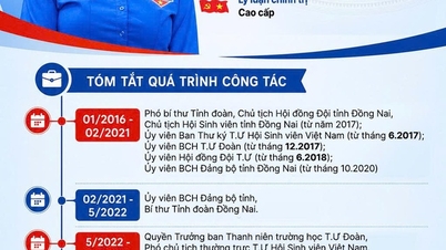 Ho Hong Nguyen elvtárs, a 13. Nemzeti Ifjúsági Unió Központi Bizottságának titkárának életrajza