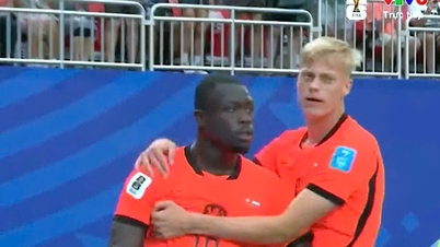 Kedudukan terkini Piala Dunia 2026: Belanda, Jepun dan Sweden mara dari Kumpulan F.