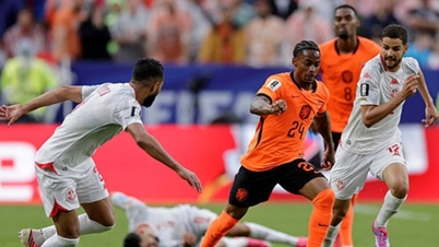 Holland knuste Tunesien 3-1: 6 taktiske højdepunkter og Van Heckes historiske rekord.