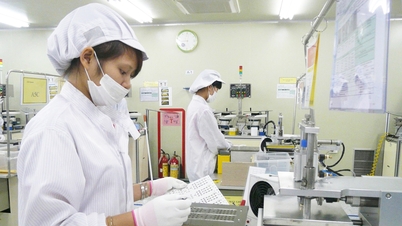 Bac Ninh: Statsbudsjettinntektene for de første 6 månedene nådde 75 % av årsprognosen.