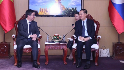 Vietnam y Laos refuerzan su cooperación en ciencia, tecnología, innovación y educación.