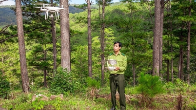 วิทยาศาสตร์และเทคโนโลยีเป็นแรงผลักดันใหม่สำหรับการพัฒนาป่าไม้ที่ยั่งยืน
