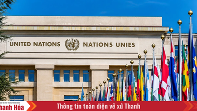 Liên hợp quốc phát động Thập kỷ Hòa bình toàn cầu kéo dài 10 năm