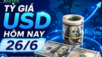 Tỷ giá USD hôm nay 26/6: Đồng Đô la Mỹ đồng loạt giảm cả khối ngân hàng và chợ đen