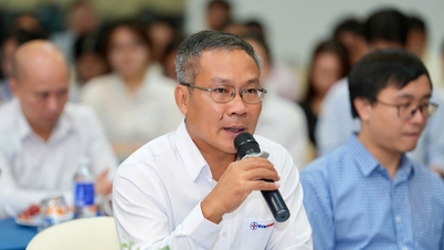 Liderii din sectorul electricității din orașul Ho Chi Minh „oferă consultanță” cu privire la modele eficiente de investiții în energia solară pentru acoperișuri.