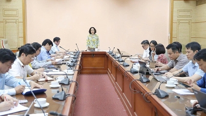 Vice-Ministro Nguyen Thi Lien Huong:完善机制，政管条政策，政策加 ...