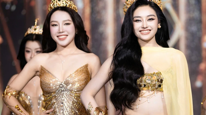 Miss Grand Vietnam bỏ bán kết