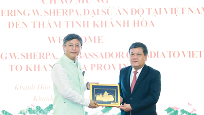 Setiausaha Jawatankuasa Parti Wilayah Khanh Hoa, Tran Phong, menerima kunjungan Duta Besar India ke Vietnam.