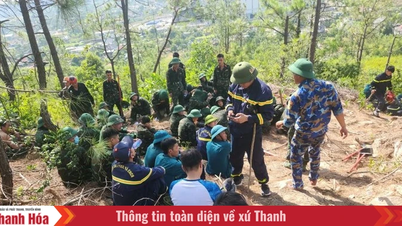 L'incendie de forêt dans le quartier de Hai Binh a été complètement éteint.