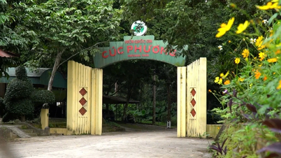 Ninh Binh wants to take control of Cuc Phuong National Park.