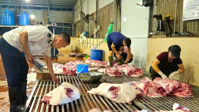 Tilpasning og supplering af netværket af centraliserede slagterier i Hanoi.