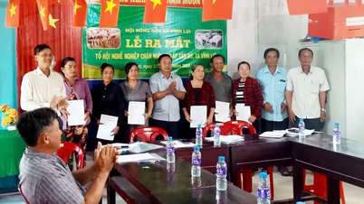Ra mắt nhiều mô hình hội nông dân, hỗ trợ phát triển sản xuất và tuyên truyền pháp luật