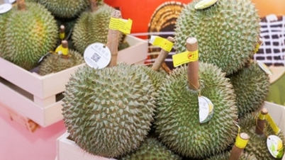 Nanning (Guangxi, Kina) tar emot en stor leverans av ASEAN-frukter.