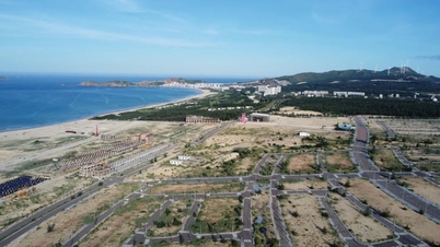 Μέσα σε μόλις 7 ημέρες, μια μαζική εισροή άνω των 1,6 τρισεκατομμυρίων VND έχει εισρεύσει στην Τζία Λάι.