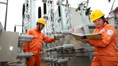 Penggunaan kadar waktu puncak untuk elektrik isi rumah: Siapa yang untung, siapa yang rugi?