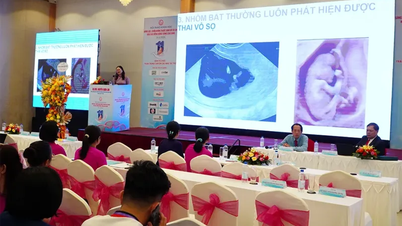 Geburtshelfer in der Mekong-Delta-Region berichten über die neuesten Fortschritte bei der pränatalen und neonatalen Vorsorge und Diagnostik.