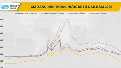 Harga minyak dan jagung kedua-duanya pulih.