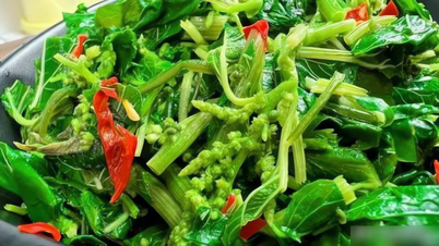 Ce légume sauvage, qui pousse en abondance au bord des routes, est plus tendre que les épinards, plus croquant que la laitue, et sa consommation régulière protège la santé cardiovasculaire et lutte contre le vieillissement.
