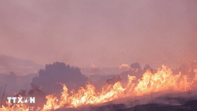 Los incendios forestales se extienden por el oeste de Estados Unidos.