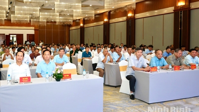Professional training was provided to over 400 officials of the Veterans Association in communes and wards.