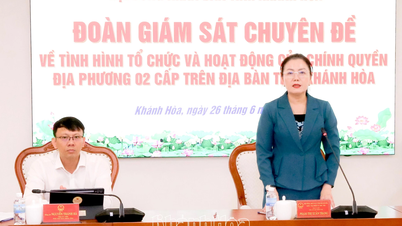 Den specialiserede overvågningsdelegation fra Khanh Hoa-provinsens folkeråd arbejdede sammen med provinsens folkekomité.