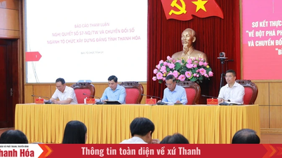 タインホア省は、決議第57-NQ/TW号および「大衆教育運動」の実施状況を検証した。