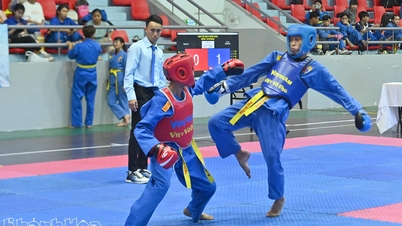 268 sportoló indult a Khanh Hoa tartományi sportfesztiválon megrendezett Vovinam versenyen.