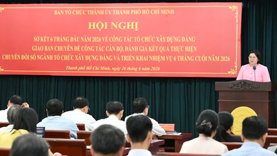 La ciudad de Ho Chi Minh tiene previsto asignar oficialmente las cuotas de personal a las comunas, distritos y zonas especiales en julio.